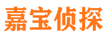 清远市调查公司